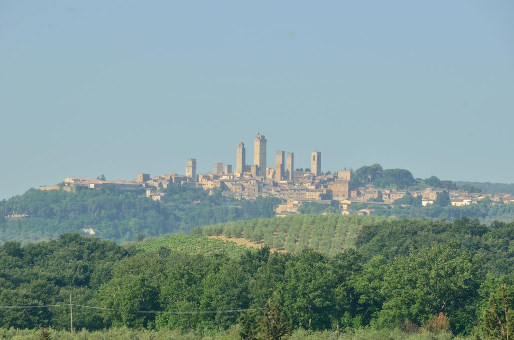 Fattoria Antonella San Gimignano Quarto foto